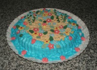 /album/galleria-fotografica/torta-per-modena-001-jpg1/